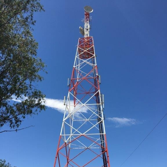 Communications tower painted with RD-Monoguard